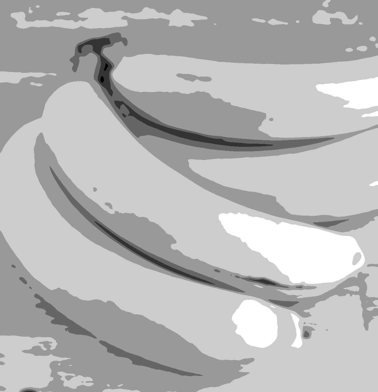 Value study using even grayscale binning