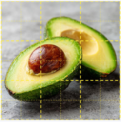 Grid overlay on image